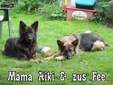 Mama Aiki & Zus Fee